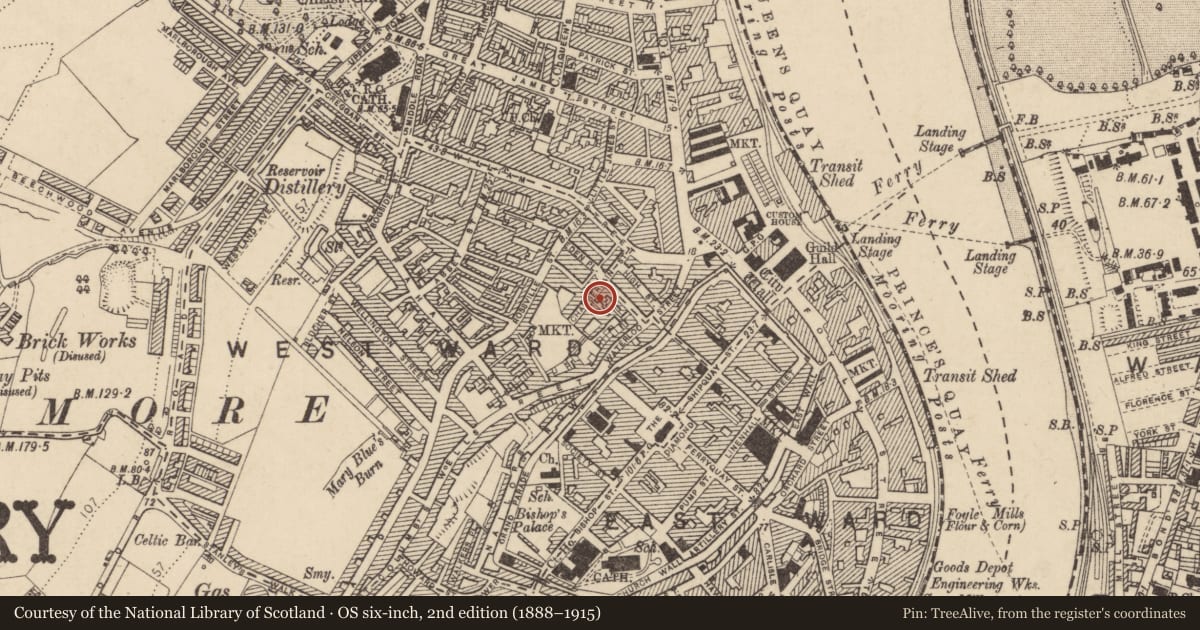 Ordnance Survey six-inch map, 2nd edition (1888–1915) covering the location of 15 Chamberlain Street, Londonderry, Derry City and Strabane, with a pin at the register's coordinates