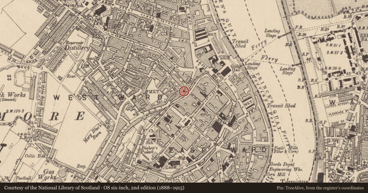 Ordnance Survey six-inch map, 2nd edition (1888–1915) covering the location of 16-24 Waterloo St, Londonderry, Derry City and Strabane, with a pin at the register's coordinates