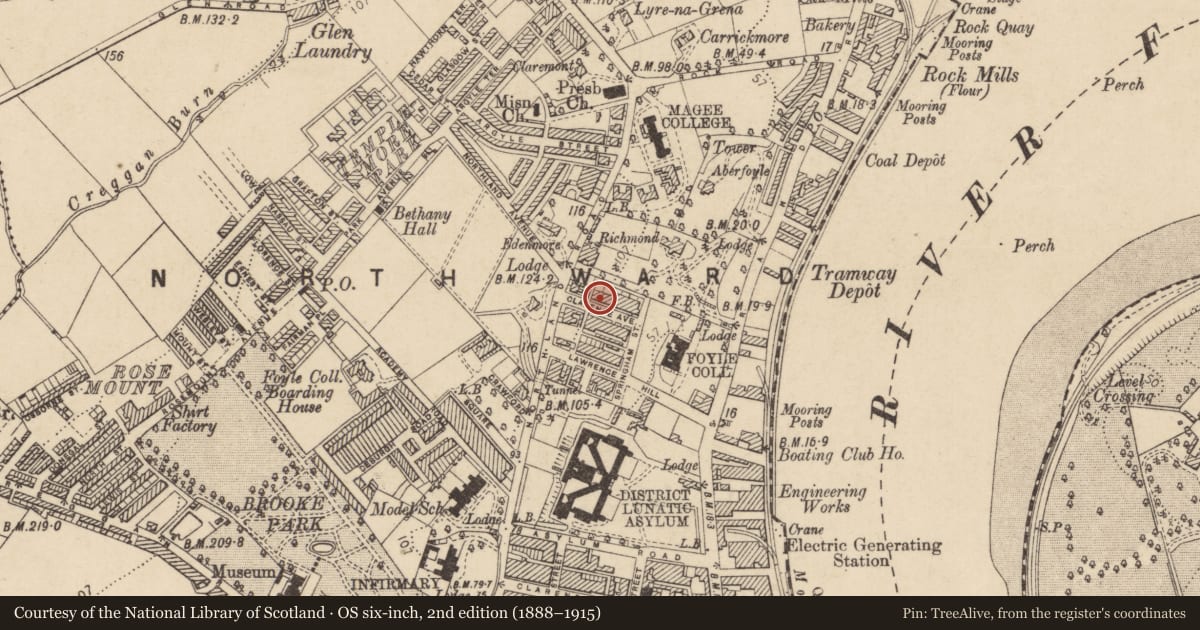 Ordnance Survey six-inch map, 2nd edition (1888–1915) covering the location of 4 Clarence Avenue, Edenballymore, Derry City and Strabane, with a pin at the register's coordinates