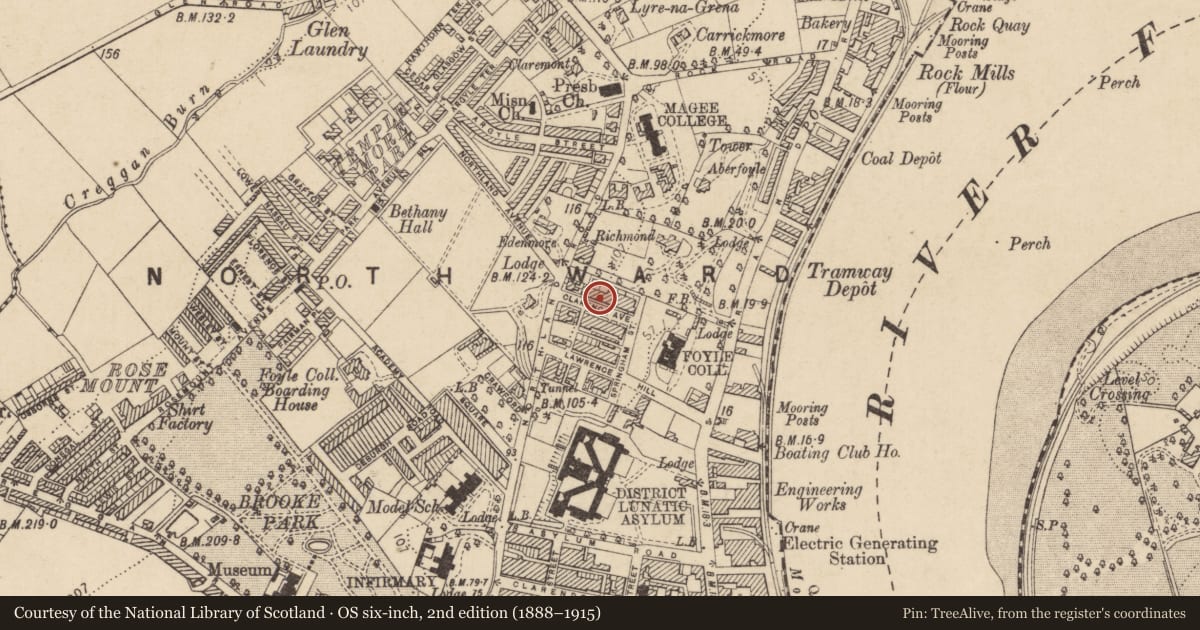 Ordnance Survey six-inch map, 2nd edition (1888–1915) covering the location of 6 Clarence Avenue, Edenballymore, Derry City and Strabane, with a pin at the register's coordinates