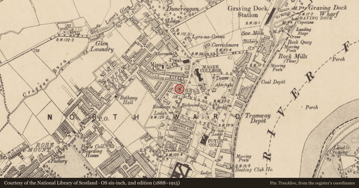 Ordnance Survey six-inch map, 2nd edition (1888–1915) covering the location of 14 Florence Terrace, Derry City and Strabane, with a pin at the register's coordinates