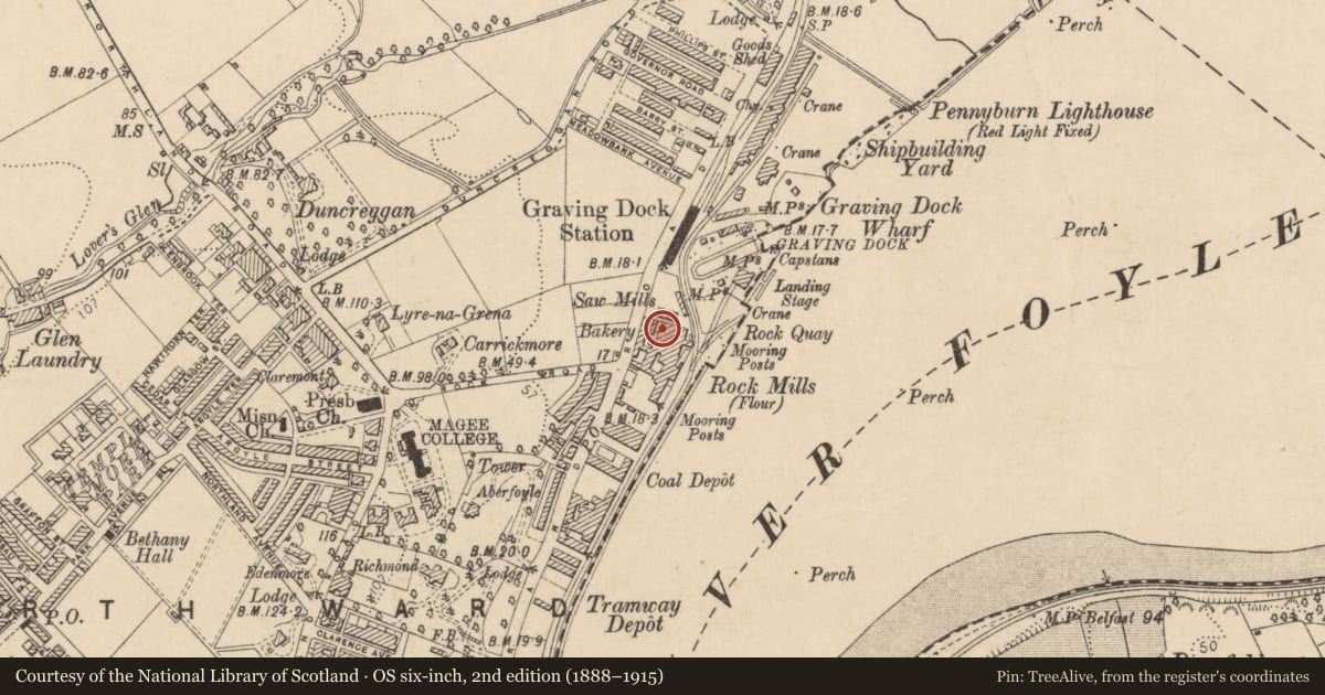 Ordnance Survey six-inch map, 2nd edition (1888–1915) covering the location of 130-134 Strand, Derry City and Strabane, with a pin at the register's coordinates