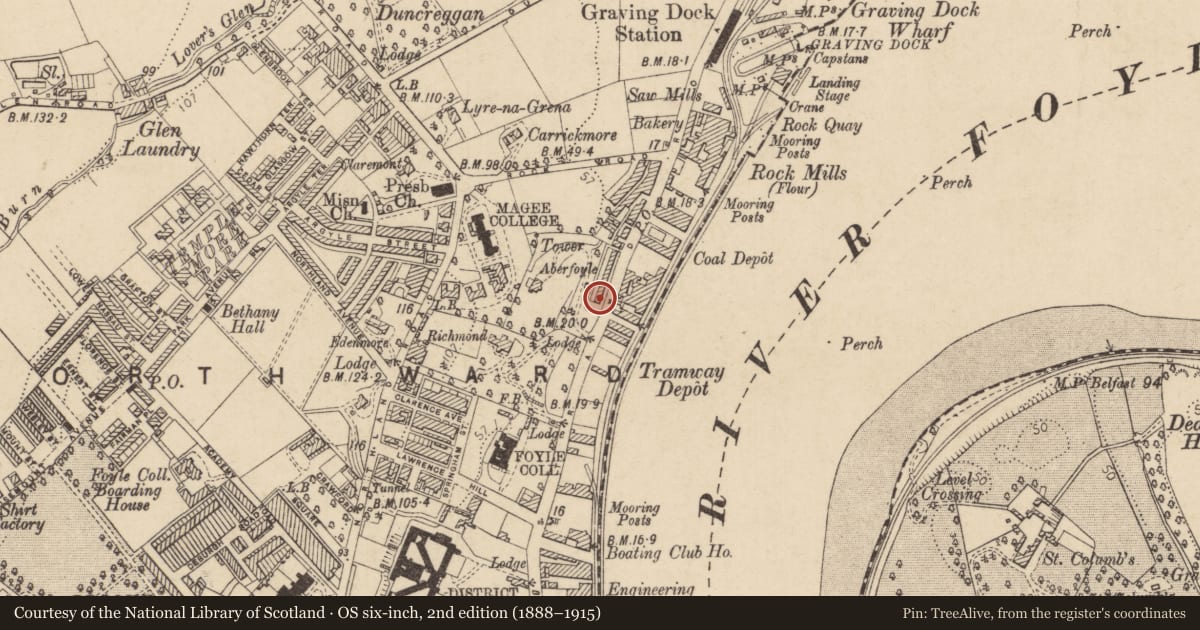 Ordnance Survey six-inch map, 2nd edition (1888–1915) covering the location of 29 Aberfoyle Terrace, Edenballymore, Derry City and Strabane, with a pin at the register's coordinates