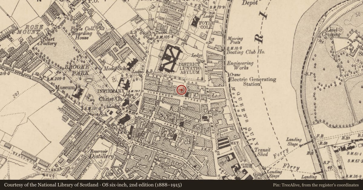 Ordnance Survey six-inch map, 2nd edition (1888–1915) covering the location of 16 Queen'S St., Edenballymore, Derry City and Strabane, with a pin at the register's coordinates