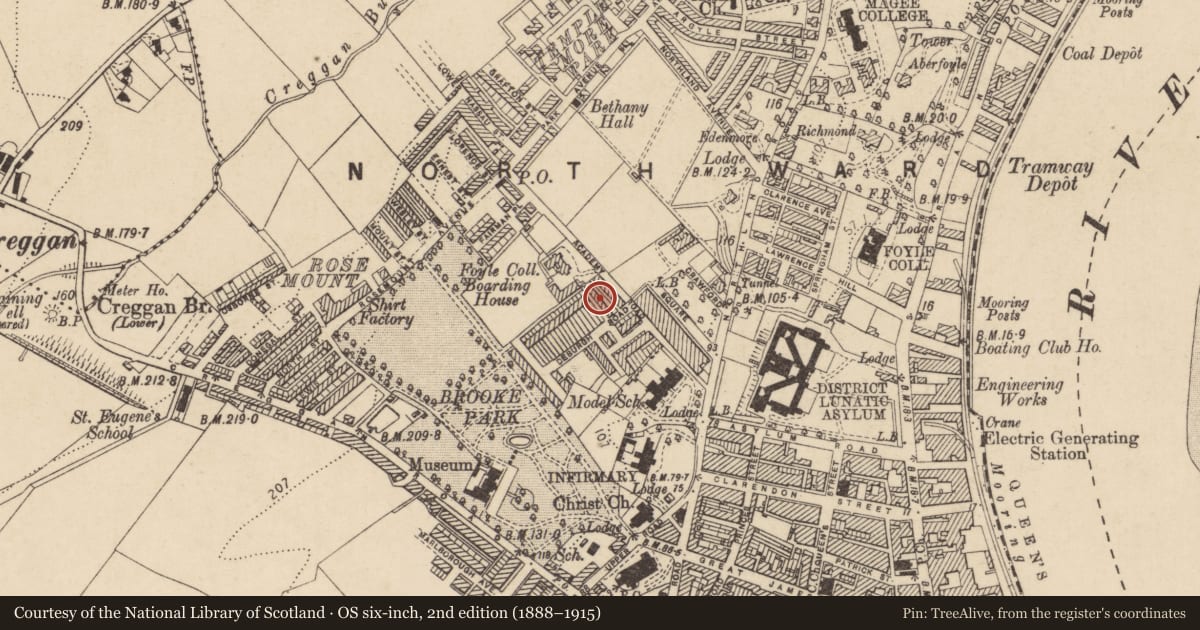 Ordnance Survey six-inch map, 2nd edition (1888–1915) covering the location of 1-12 De Burgh Square, Derry City and Strabane, with a pin at the register's coordinates