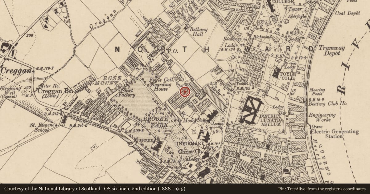 Ordnance Survey six-inch map, 2nd edition (1888–1915) covering the location of 14 De Burgh Terrace, Edenballymore, Derry City and Strabane, with a pin at the register's coordinates