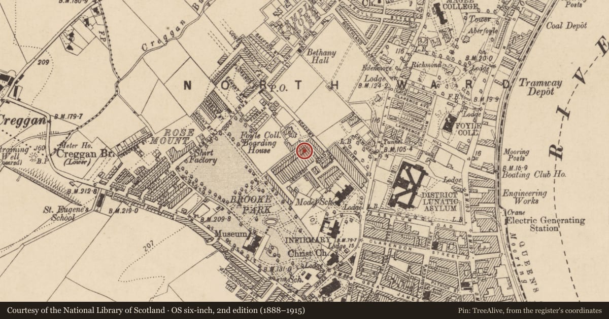 Ordnance Survey six-inch map, 2nd edition (1888–1915) covering the location of 17 De Burgh Terrace, Edenballymore, Derry City and Strabane, with a pin at the register's coordinates