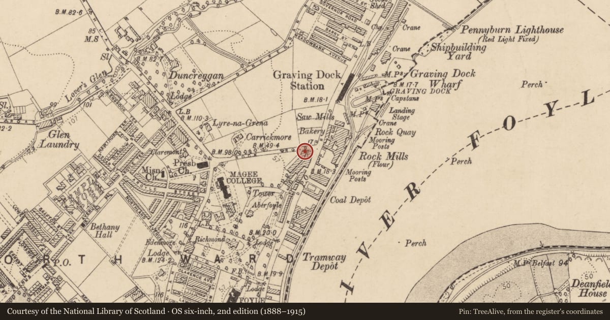 Ordnance Survey six-inch map, 2nd edition (1888–1915) covering the location of 1 College Terrace, Edenballymore, Derry City and Strabane, with a pin at the register's coordinates