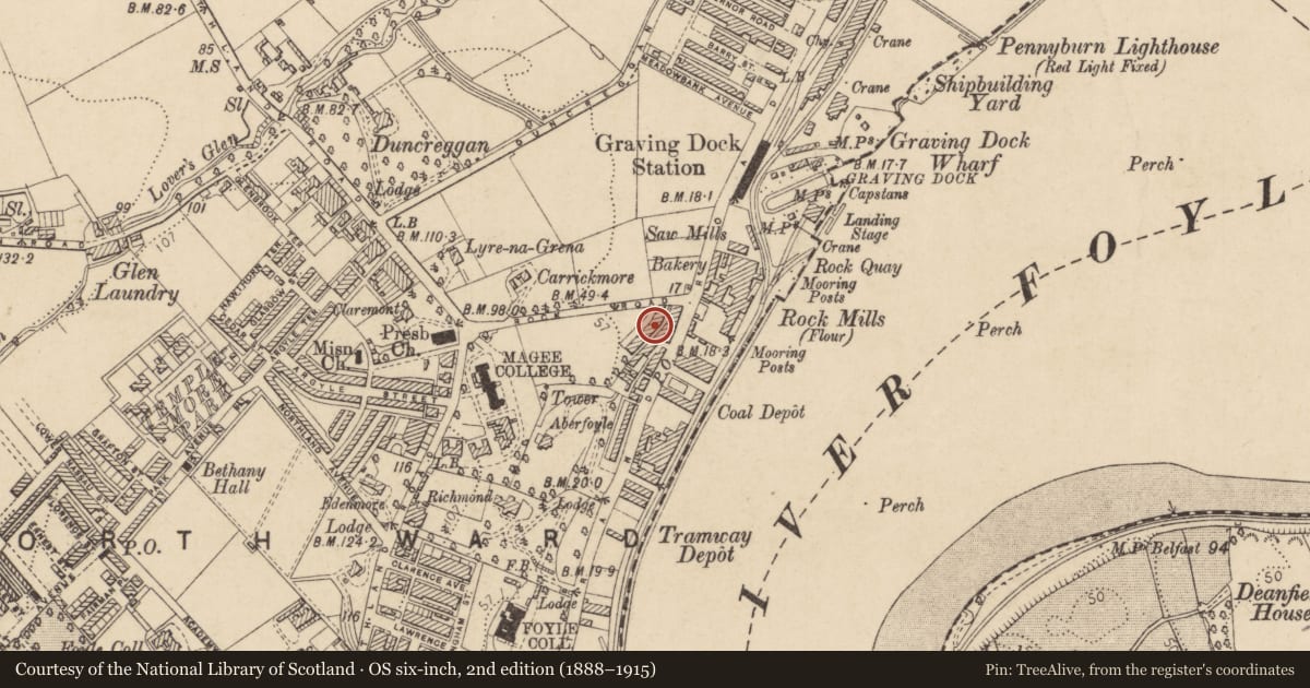 Ordnance Survey six-inch map, 2nd edition (1888–1915) covering the location of 5 College Terrace, Edenballymore, Derry City and Strabane, with a pin at the register's coordinates
