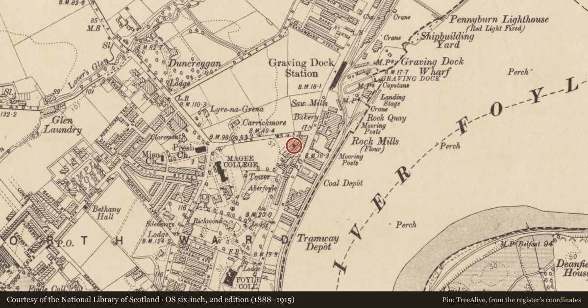 Ordnance Survey six-inch map, 2nd edition (1888–1915) covering the location of 6 College Terrace, Edenballymore, Derry City and Strabane, with a pin at the register's coordinates