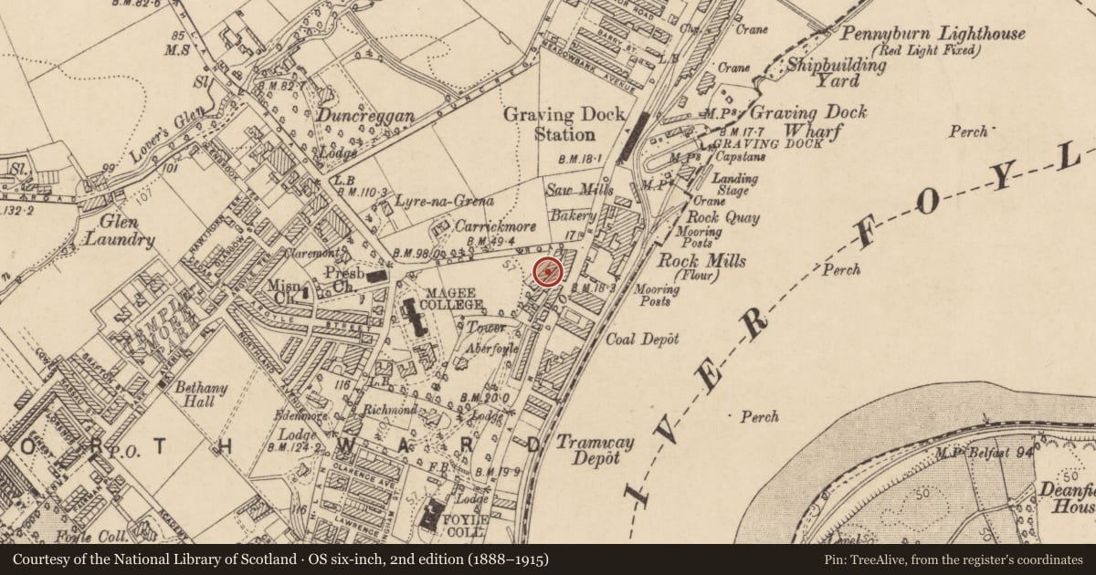 Ordnance Survey six-inch map, 2nd edition (1888–1915) covering the location of 7 College Terrace, Edenballymore, Derry City and Strabane, with a pin at the register's coordinates