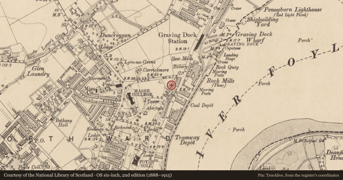 Ordnance Survey six-inch map, 2nd edition (1888–1915) covering the location of 8 College Terrace, Edenballymore, Derry City and Strabane, with a pin at the register's coordinates