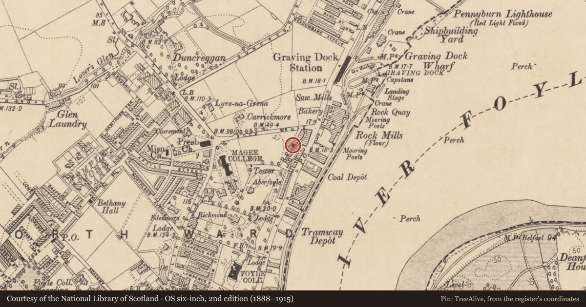 Ordnance Survey six-inch map, 2nd edition (1888–1915) covering the location of 10 College Terrace, Edenballymore, Derry City and Strabane, with a pin at the register's coordinates