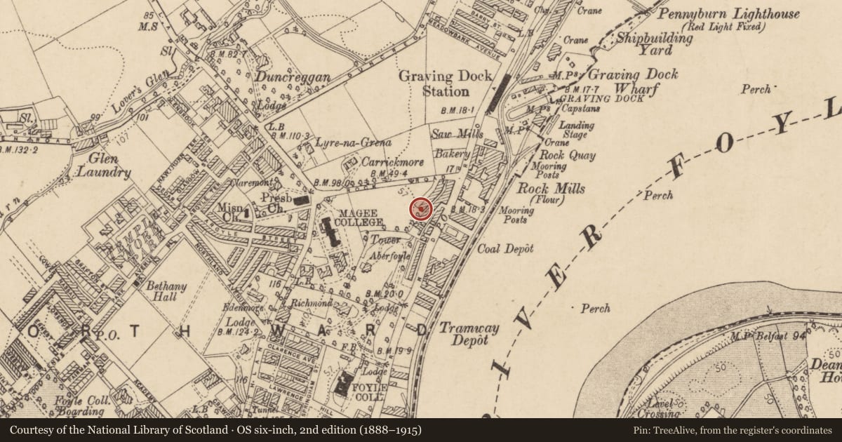 Ordnance Survey six-inch map, 2nd edition (1888–1915) covering the location of 13 College Terrace, Edenballymore, Derry City and Strabane, with a pin at the register's coordinates