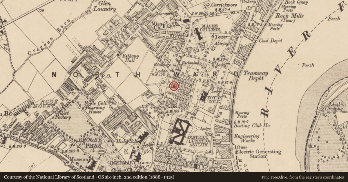 Ordnance Survey six-inch map, 2nd edition (1888–1915) covering the location of 13 Northland Road, Edenballymore, Derry City and Strabane, with a pin at the register's coordinates