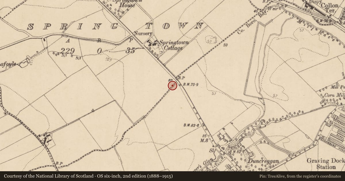 Ordnance Survey six-inch map, 2nd edition (1888–1915) covering the location of Boundary Marker, with a pin at the register's coordinates