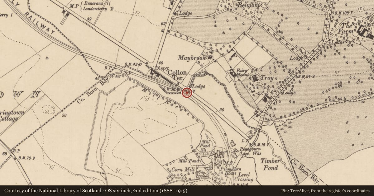 Ordnance Survey six-inch map, 2nd edition (1888–1915) covering the location of Boundary Post South East of Collon Terrace Buncrana Road Londonderry BT48 7QP, Pennyburn, Derry City and Strabane, with a pin at the register's coordinates