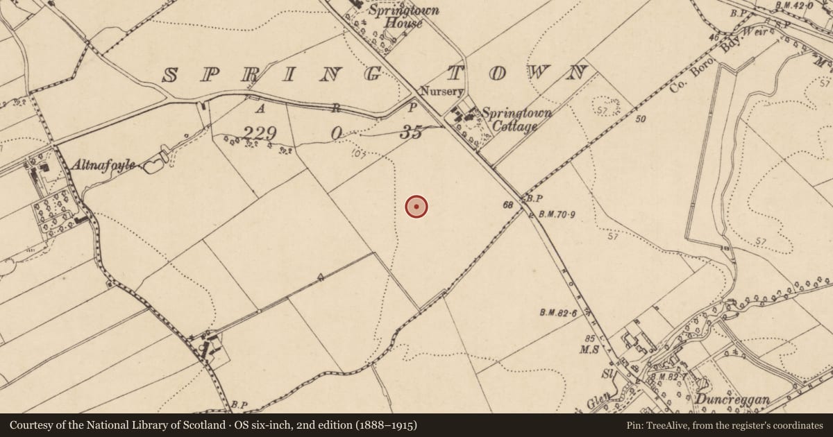 Ordnance Survey six-inch map, 2nd edition (1888–1915) covering the location of John Lawrence Statue, Derry City and Strabane, with a pin at the register's coordinates