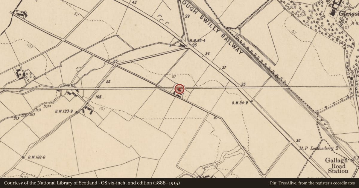 Ordnance Survey six-inch map, 2nd edition (1888–1915) covering the location of 'Derryowen', Coshquin, Derry City and Strabane, with a pin at the register's coordinates