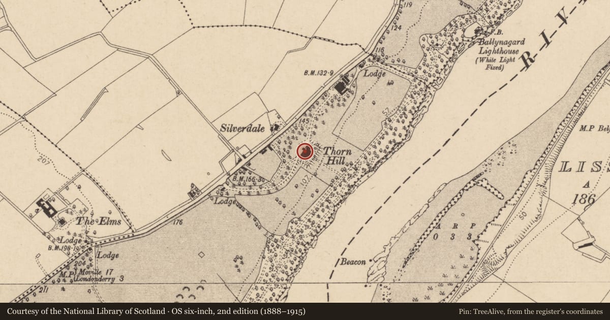 Ordnance Survey six-inch map, 2nd edition (1888–1915) covering the location of Convent of Mercy, Ballynashallog, Derry City and Strabane, with a pin at the register's coordinates