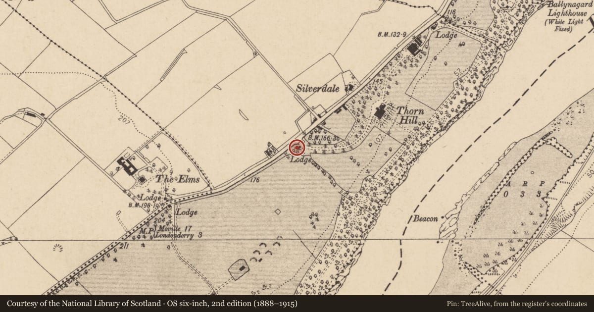 Ordnance Survey six-inch map, 2nd edition (1888–1915) covering the location of Gate Lodge, Ballynashallog, Derry City and Strabane, with a pin at the register's coordinates