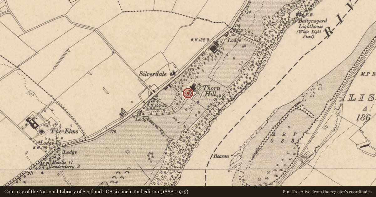 Ordnance Survey six-inch map, 2nd edition (1888–1915) covering the location of Chapel, Ballynashallog, Derry City and Strabane, with a pin at the register's coordinates
