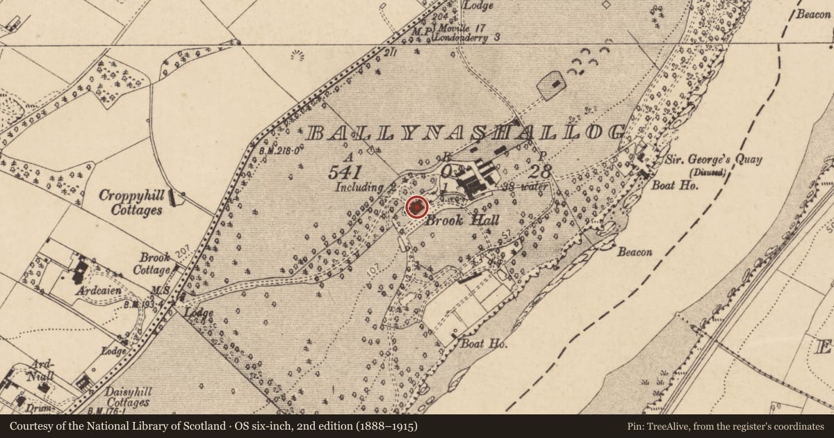 Ordnance Survey six-inch map, 2nd edition (1888–1915) covering the location of Brookhall, Ballynashallog, Derry City and Strabane, with a pin at the register's coordinates