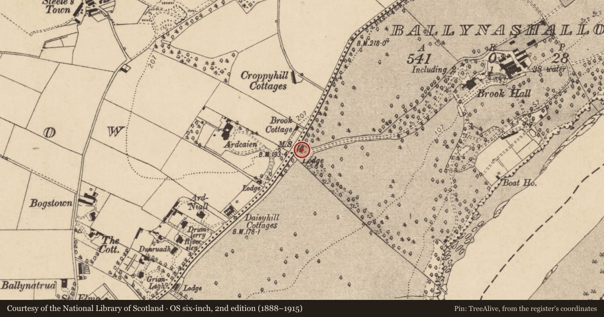 Ordnance Survey six-inch map, 2nd edition (1888–1915) covering the location of Gate Lodge, Londonderry, Derry City and Strabane, with a pin at the register's coordinates