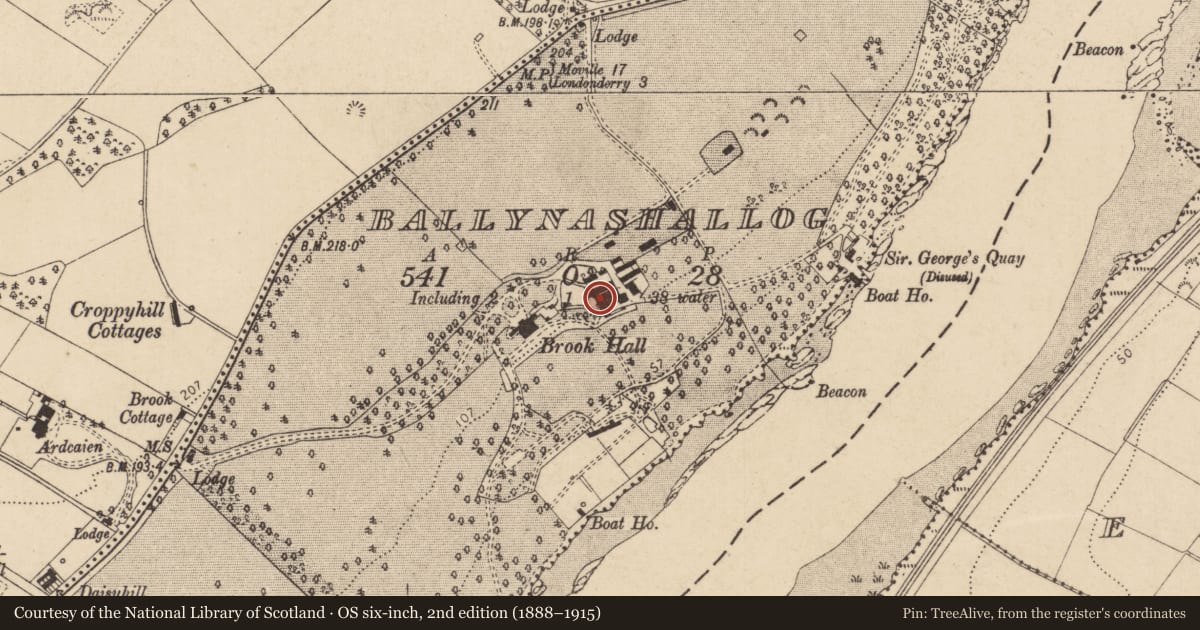 Ordnance Survey six-inch map, 2nd edition (1888–1915) covering the location of Outbuildings, Ballynashallog, Derry City and Strabane, with a pin at the register's coordinates