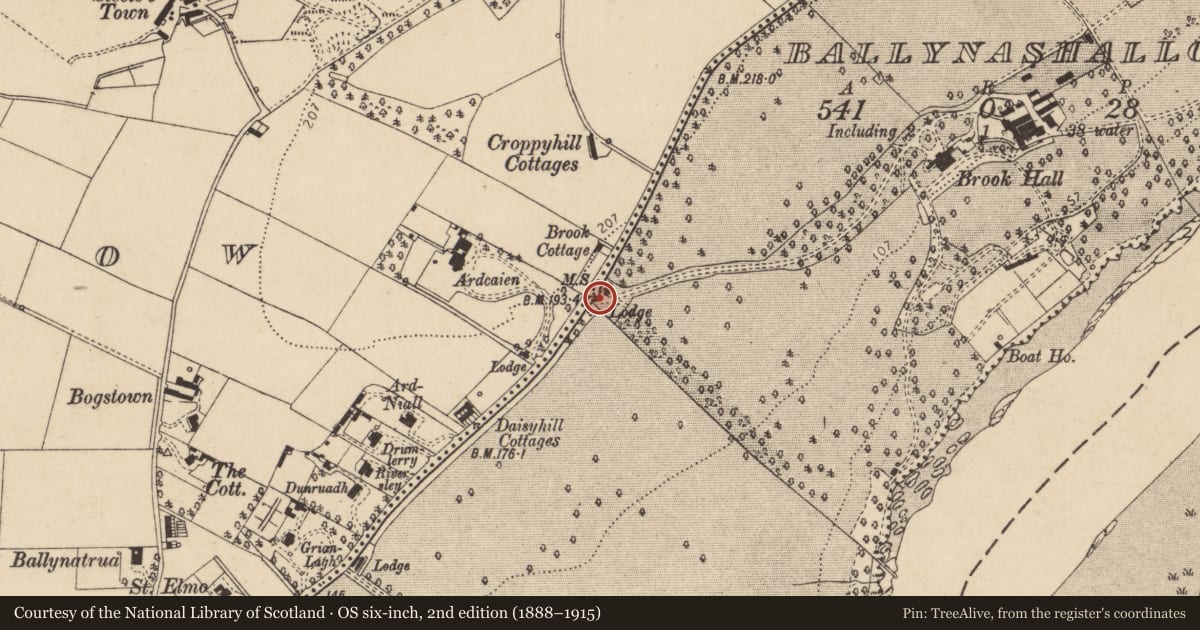 Ordnance Survey six-inch map, 2nd edition (1888–1915) covering the location of Gate Screen, Londonderry, Derry City and Strabane, with a pin at the register's coordinates