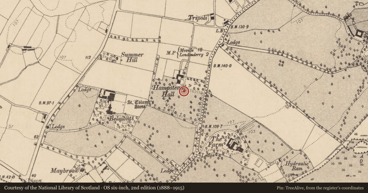 Ordnance Survey six-inch map, 2nd edition (1888–1915) covering the location of Gate Pillars, Londonderry, Derry City and Strabane, with a pin at the register's coordinates