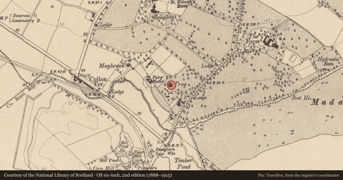 Ordnance Survey six-inch map, 2nd edition (1888–1915) covering the location of Troy Hall, Londonderry, Derry City and Strabane, with a pin at the register's coordinates
