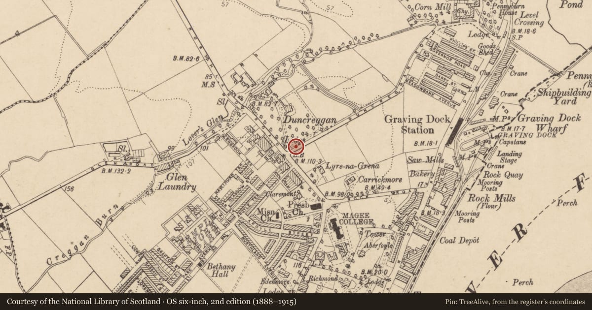 Ordnance Survey six-inch map, 2nd edition (1888–1915) covering the location of Gate Pillars, Londonderry, Derry City and Strabane, with a pin at the register's coordinates