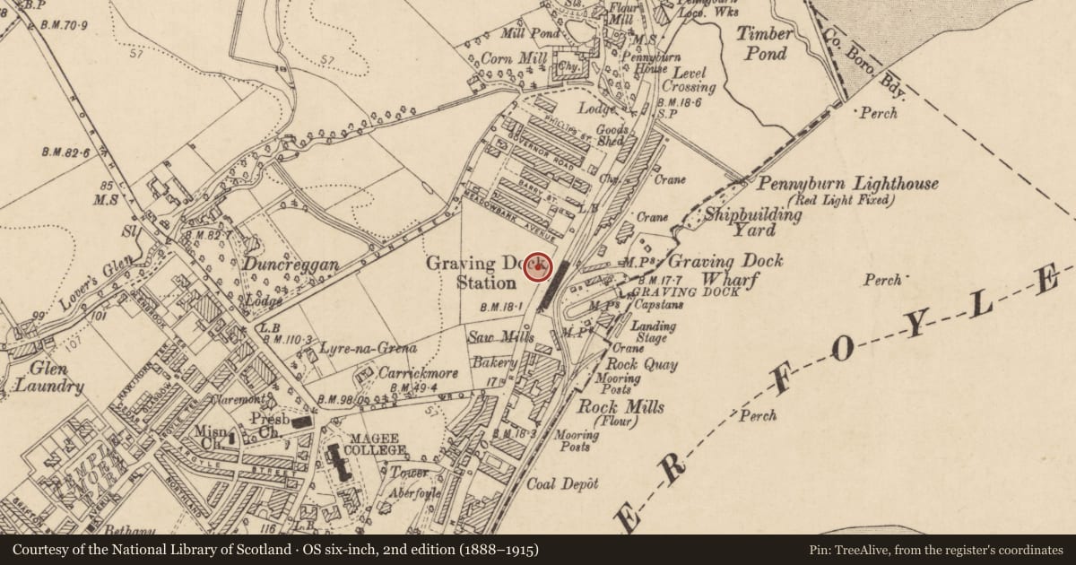Ordnance Survey six-inch map, 2nd edition (1888–1915) covering the location of Long’s Supermarket, Londonderry, Derry City and Strabane, with a pin at the register's coordinates