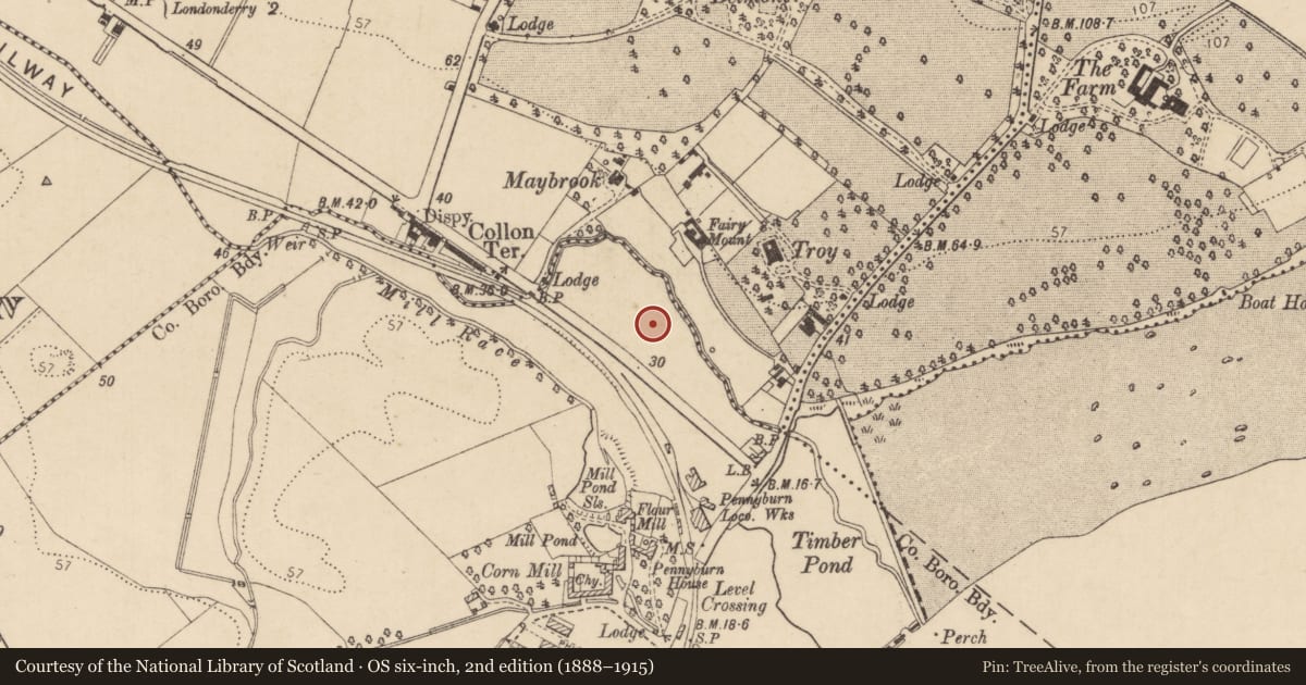 Ordnance Survey six-inch map, 2nd edition (1888–1915) covering the location of St Patrick's Church, Londonderry, Derry City and Strabane, with a pin at the register's coordinates
