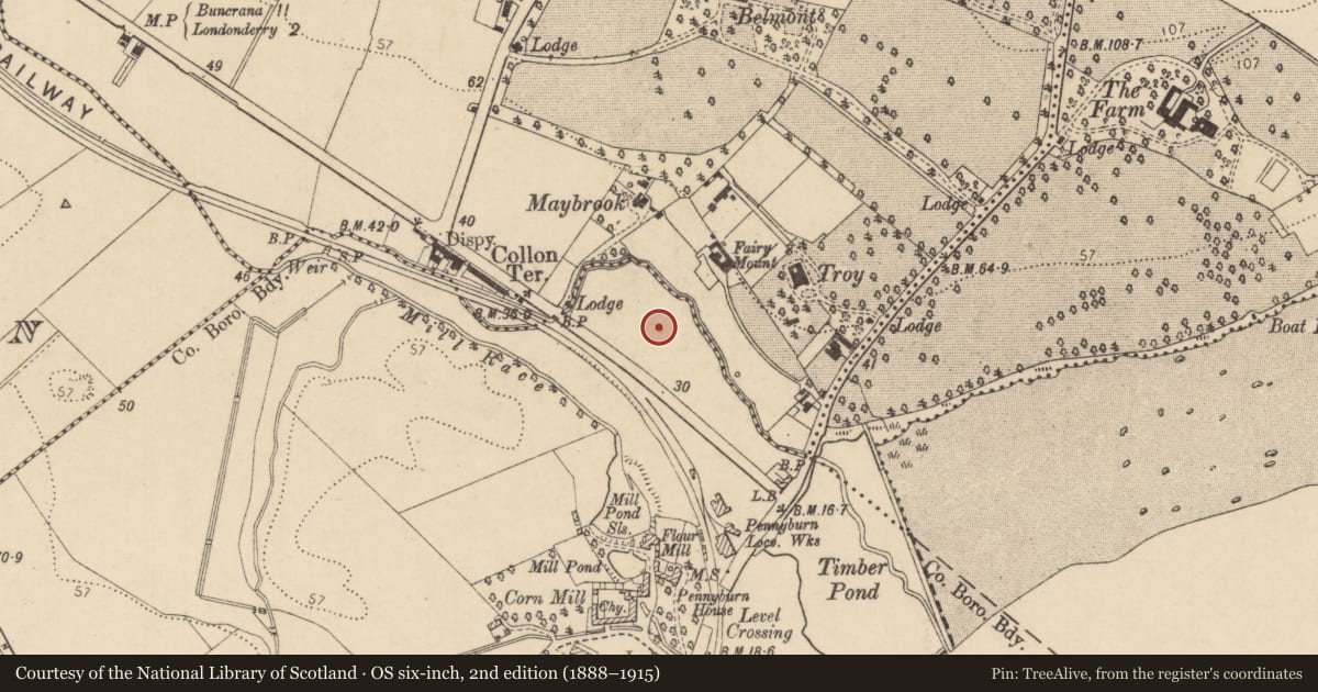 Ordnance Survey six-inch map, 2nd edition (1888–1915) covering the location of St Patrick’s Presbytery, Londonderry, Derry City and Strabane, with a pin at the register's coordinates