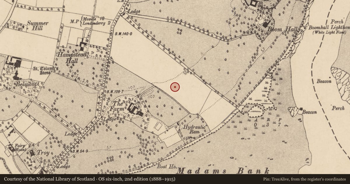Ordnance Survey six-inch map, 2nd edition (1888–1915) covering the location of 25 Talbot Park, Londonderry, Derry City and Strabane, with a pin at the register's coordinates