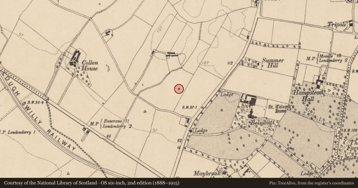 Ordnance Survey six-inch map, 2nd edition (1888–1915) covering the location of St Patrick’s Primary School, Londonderry, Derry City and Strabane, with a pin at the register's coordinates