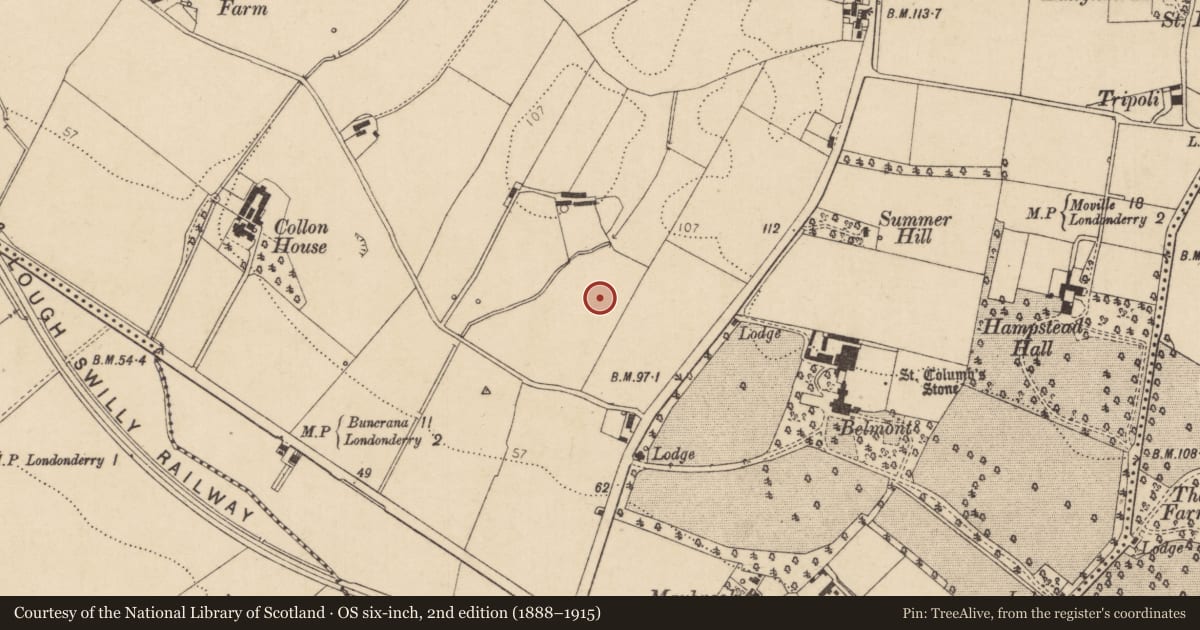 Ordnance Survey six-inch map, 2nd edition (1888–1915) covering the location of Schools Meals Kitchen, Londonderry, Derry City and Strabane, with a pin at the register's coordinates