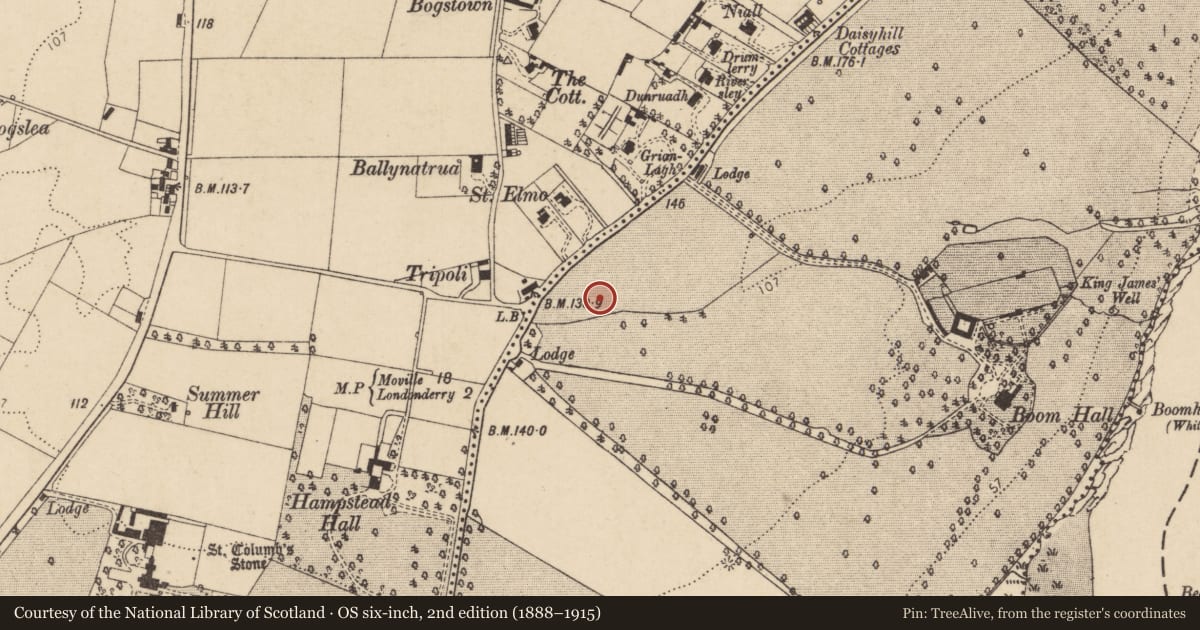 Ordnance Survey six-inch map, 2nd edition (1888–1915) covering the location of St Peter’s C of I Church, Londonderry, Derry City and Strabane, with a pin at the register's coordinates