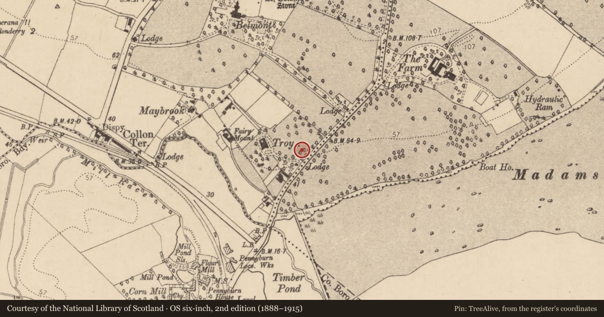 Ordnance Survey six-inch map, 2nd edition (1888–1915) covering the location of 55 Troy Park, Londonderry, Derry City and Strabane, with a pin at the register's coordinates