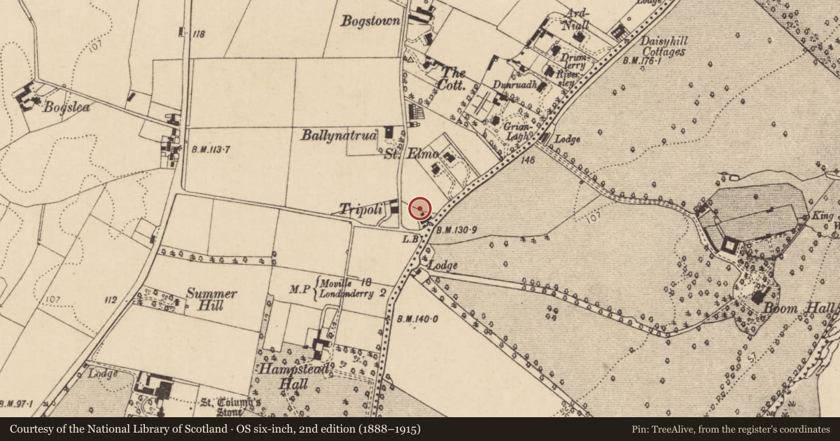 Ordnance Survey six-inch map, 2nd edition (1888–1915) covering the location of The Rhinns, Londonderry, Derry City and Strabane, with a pin at the register's coordinates
