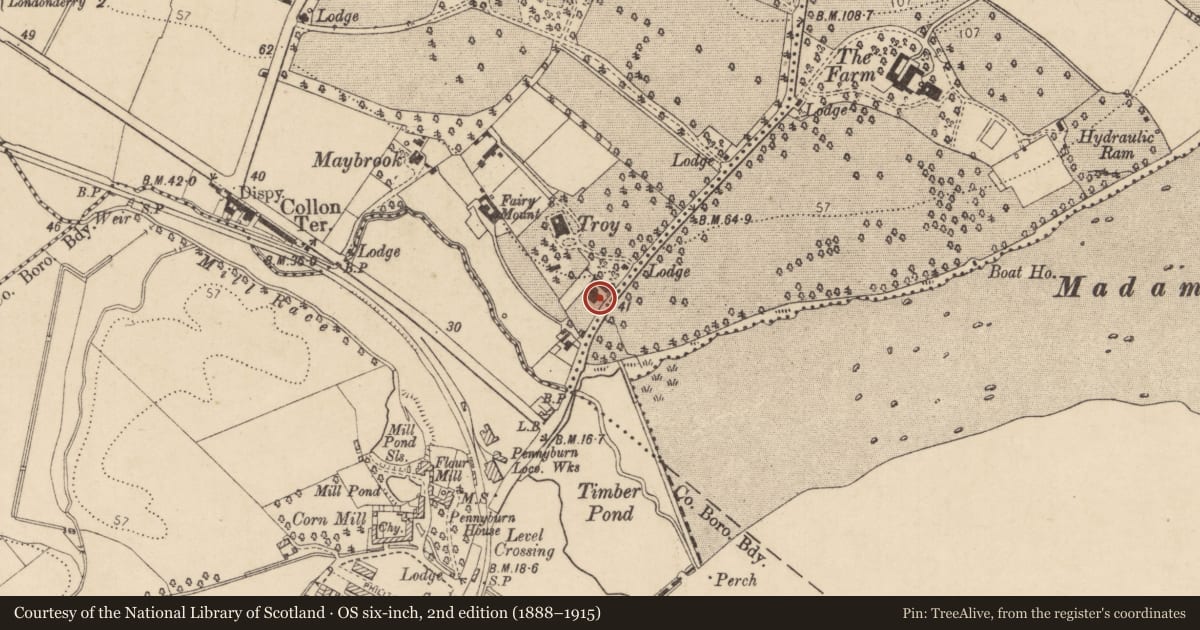 Ordnance Survey six-inch map, 2nd edition (1888–1915) covering the location of 8 Culmore Road, Londonderry, Derry City and Strabane, with a pin at the register's coordinates