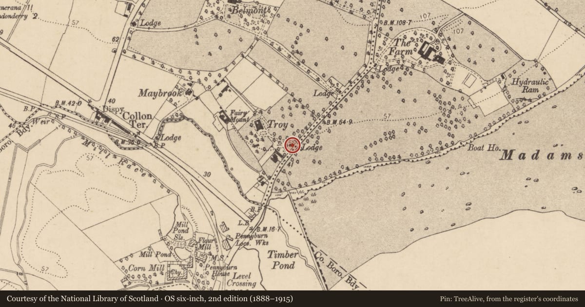 Ordnance Survey six-inch map, 2nd edition (1888–1915) covering the location of Gate Lodge and Gates, Londonderry, Derry City and Strabane, with a pin at the register's coordinates