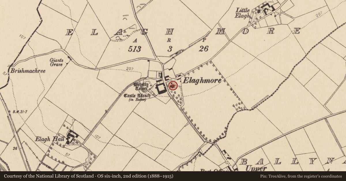 Ordnance Survey six-inch map, 2nd edition (1888–1915) covering the location of Elagh House, Elagh More, Derry City and Strabane, with a pin at the register's coordinates