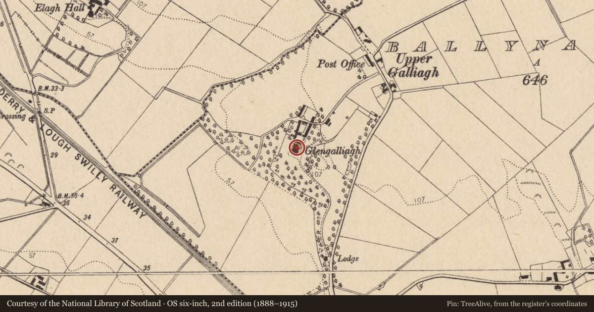 Ordnance Survey six-inch map, 2nd edition (1888–1915) covering the location of Glengalliagh Hall, Ballynagalliagh, Derry City and Strabane, with a pin at the register's coordinates