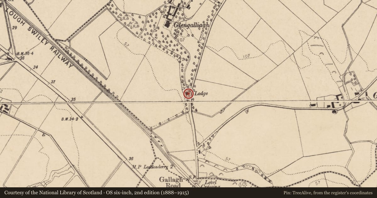 Ordnance Survey six-inch map, 2nd edition (1888–1915) covering the location of Gate Lodge, Ballynagalliagh, Derry City and Strabane, with a pin at the register's coordinates