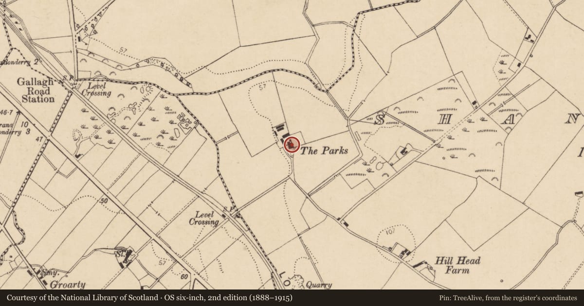 Ordnance Survey six-inch map, 2nd edition (1888–1915) covering the location of The Parks, Shantallow, Derry City and Strabane, with a pin at the register's coordinates