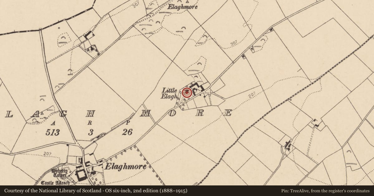 Ordnance Survey six-inch map, 2nd edition (1888–1915) covering the location of Little Elagh, Elagh More, Derry City and Strabane, with a pin at the register's coordinates