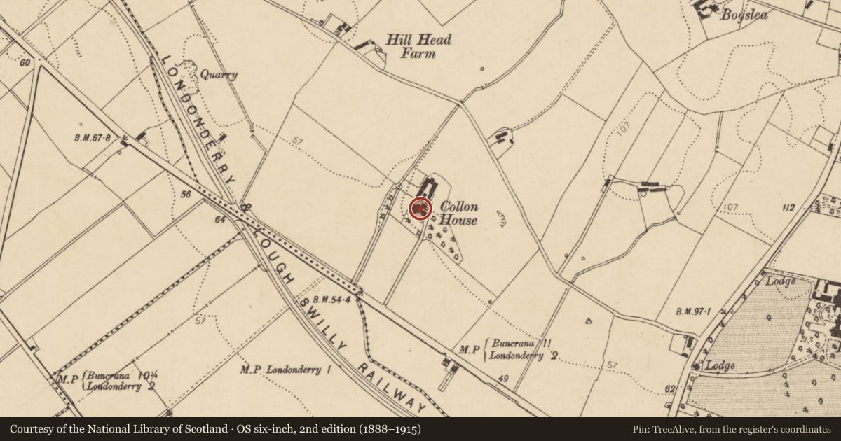 Ordnance Survey six-inch map, 2nd edition (1888–1915) covering the location of Collon House, Shantallow, Derry City and Strabane, with a pin at the register's coordinates